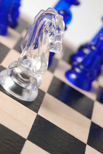 Transparentes Schachpferd — Stockfoto