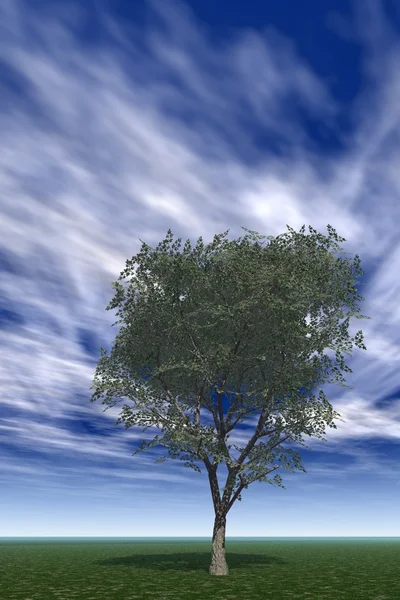 Tree alone vertical — Stock Photo, Image