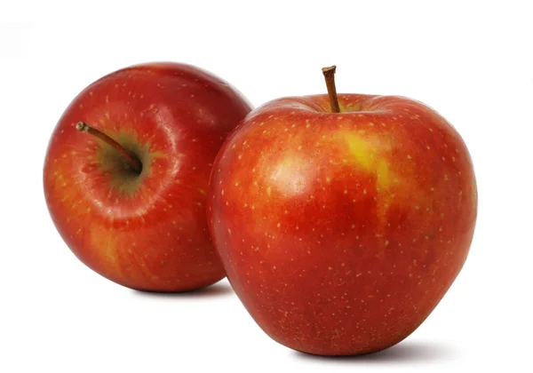 Два яблока — стоковое фото