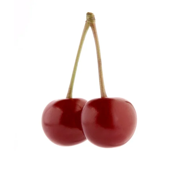 Twee cherry — Stockfoto