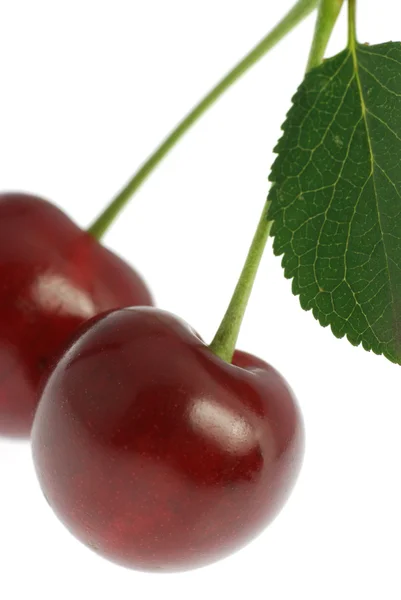 Dva cherry s listy — Stock fotografie
