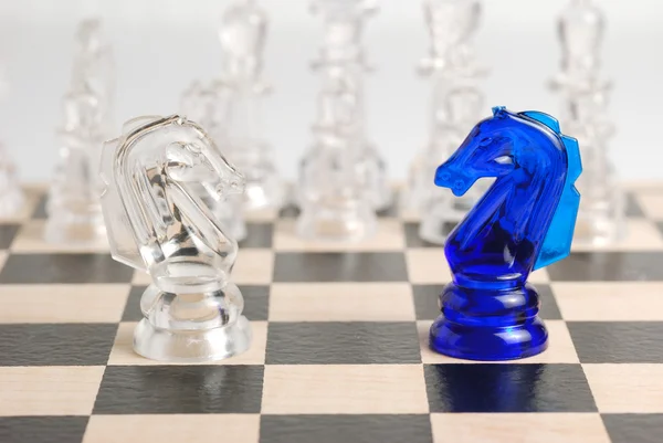 Kaksi shakkihevosta — kuvapankkivalokuva