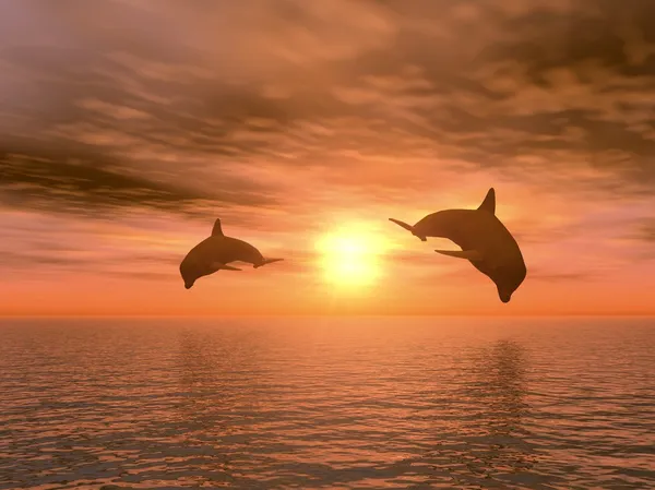Dwa Delfin — Zdjęcie stockowe
