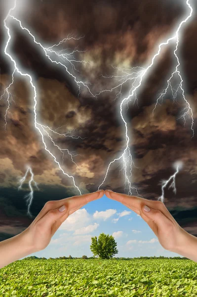 Dwie ręce zachowania zielony drzewo przed burzą — Zdjęcie stockowe