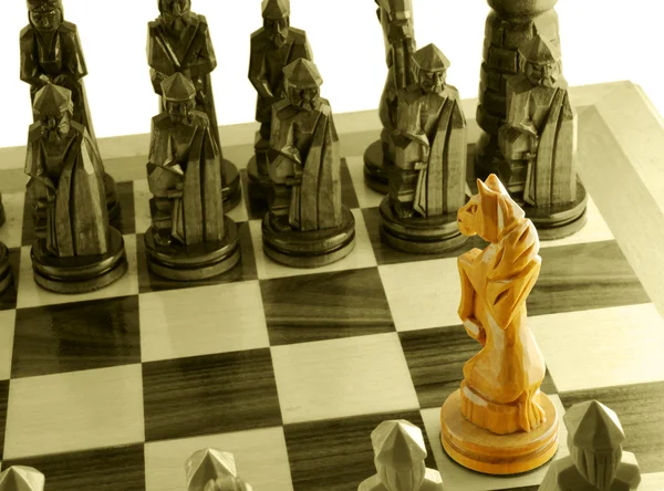 Unique chess horse — Stock Photo, Image