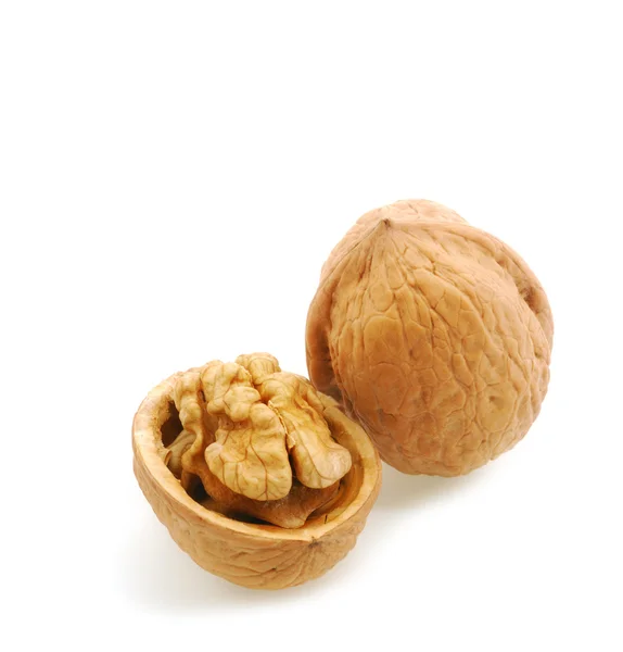Walnut open with shadow — Stock Photo, Image