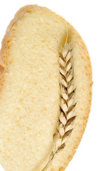 Wheat and cut bread — Stock Photo, Image