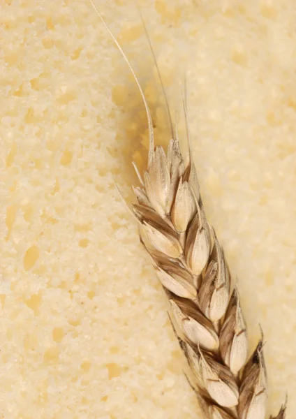 Wheat and texture bread — Stock Photo, Image