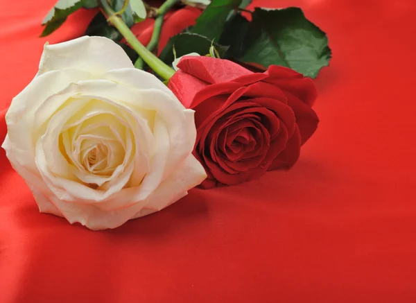 Dos rosas sobre satén —  Fotos de Stock