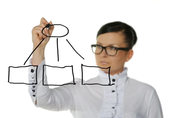 De vrouw het diagram tekenen — Stockfoto