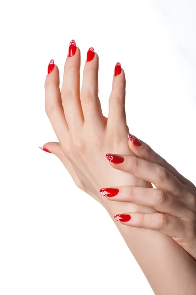 Female hands with French manicure — Stock Photo, Image