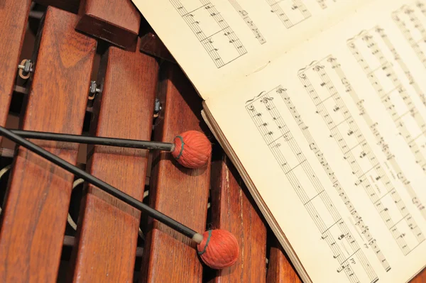 Xilófono de madera con notas y mazos —  Fotos de Stock