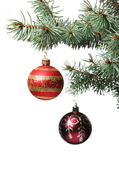 El juguete de Navidad en la rama del árbol de pelaje —  Fotos de Stock