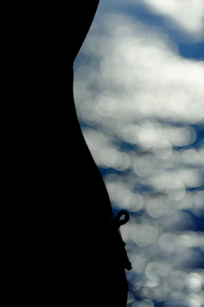 Silhouette der Frau und verschwimmen einen Hintergrund — Stockfoto