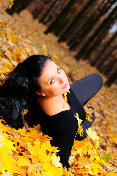 The attractive woman in autumn forest — Stock Photo, Image