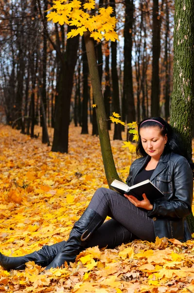 有吸引力的女人读的书在秋天的森林中 — 图库照片