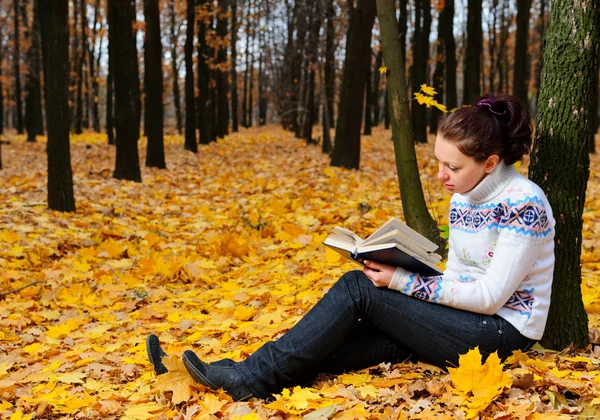 Привлекательная женщина читает книгу в осеннем лесу — стоковое фото