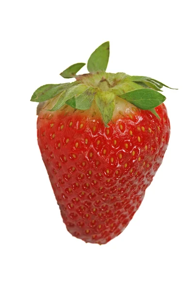 Red ripe Strawberry, Erdbeeren — Stock Photo, Image
