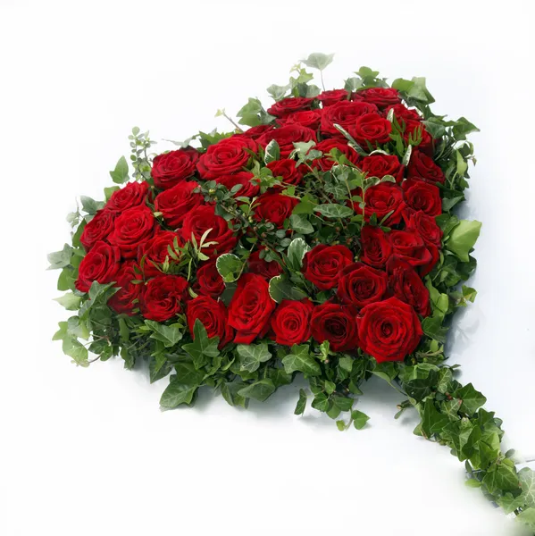 Красивое сердце из красных роз в окружении листьев плюща — стоковое фото