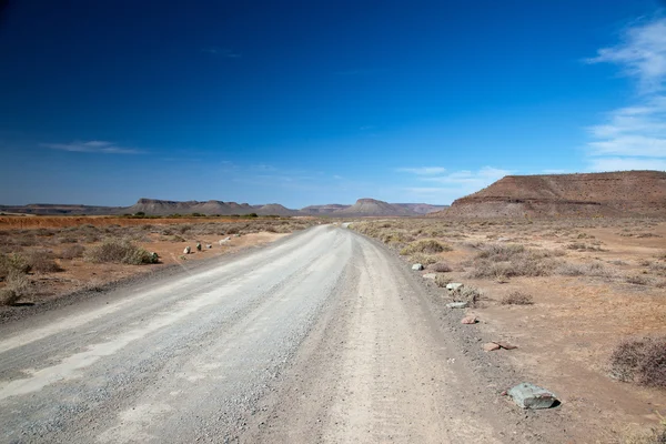 Paisaje en Sudáfrica con un camino o carril solitario —  Fotos de Stock