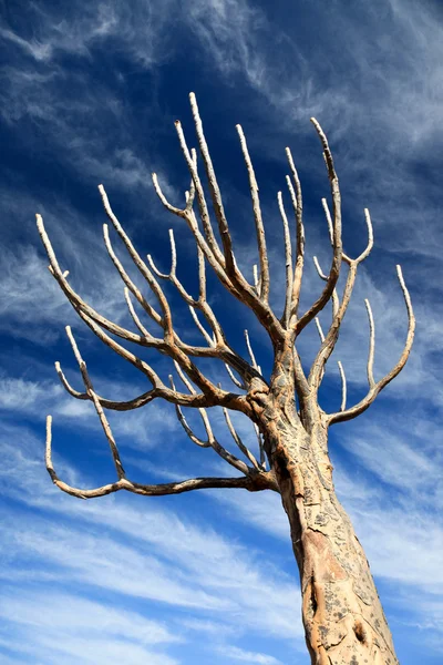 Tree against a blue sky — Stock Photo, Image