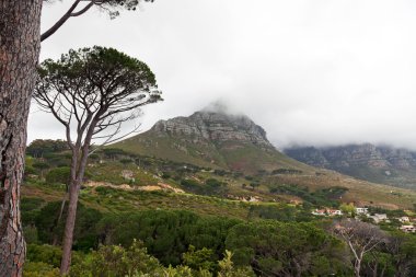 Overcast mountains in South Africa clipart