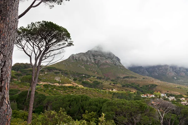 Bewolkte bergen in Zuid-Afrika — Stockfoto