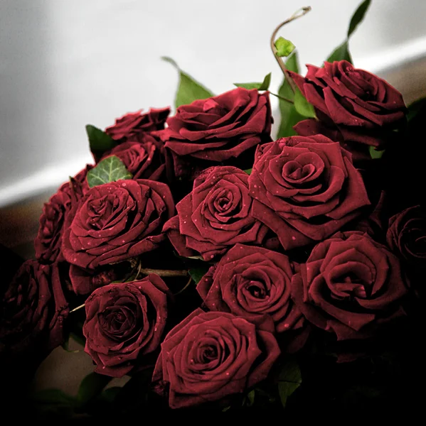 Красные - черные розы — стоковое фото
