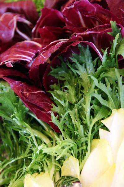 Ensaladas sabrosas y frescas, ensaladas verdes y rojas — Foto de Stock