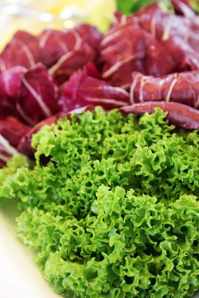 Frische rote und grüne Salate — Stockfoto
