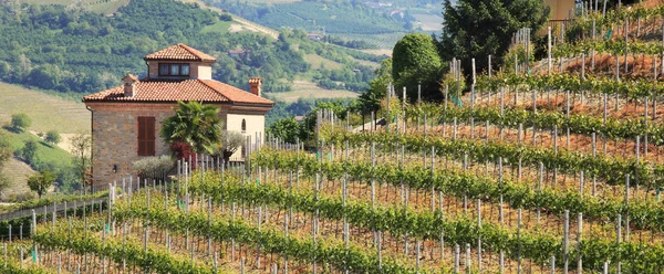 Huis op heuvel met wijngaarden in Noord-Italië. — Stockfoto