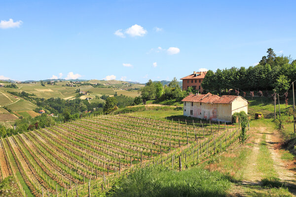 Old farmhouse and vineyards in northern Italy.