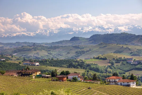 Vista de colinas y viñedos del Piamonte, norte de Italia . — Foto de Stock