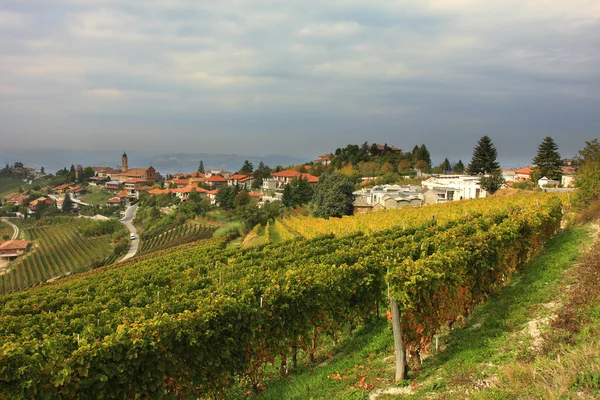 Visa på vingård i norra Italien. — Stockfoto