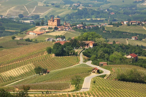Blick auf Hügel und Weinberge des Piemont, Norditalien. — Stockfoto