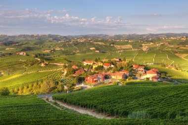 View on vineyards in northern Italy. clipart