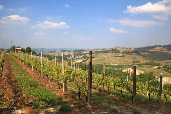 Zobrazit na kopců a vinic Piemont, severní Itálie. — Stock fotografie