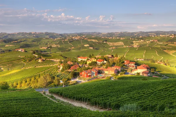 Widok na winnice w północnych Włoszech. — Zdjęcie stockowe
