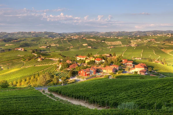 Vista sobre vinhas no norte da Itália . Fotos De Bancos De Imagens Sem Royalties