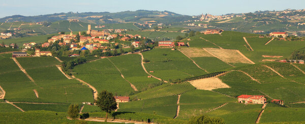 Panoramic view on vineyards and fields in Italy.
