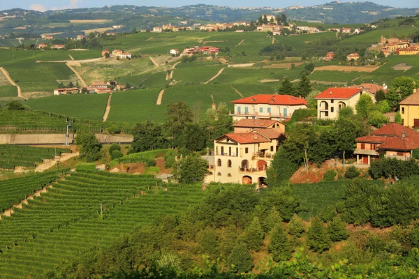 Prohlédni na vinice v severní Itálii. — Stock fotografie