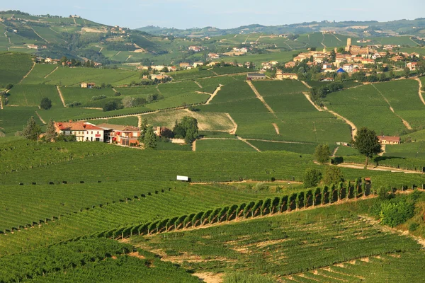 Nézd a szőlőültetvények Észak-Olaszország. — Stock Fotó