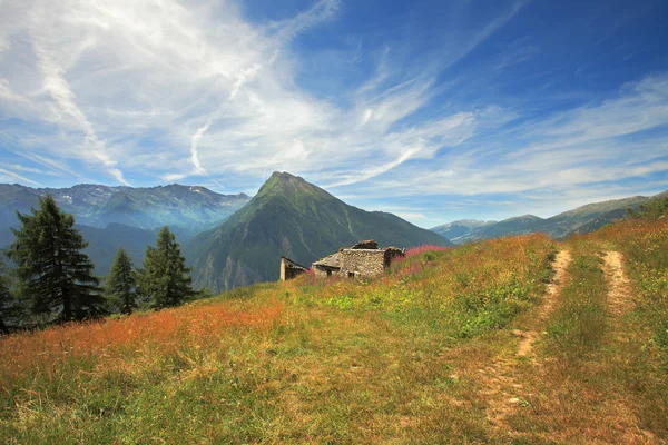 Velden en weiden in Alpen. — Stockfoto