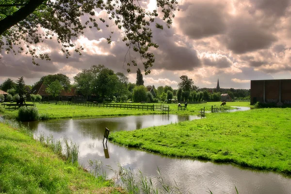 작은 강 및 녹색 잔디와 zaanse schans 필드. — 스톡 사진