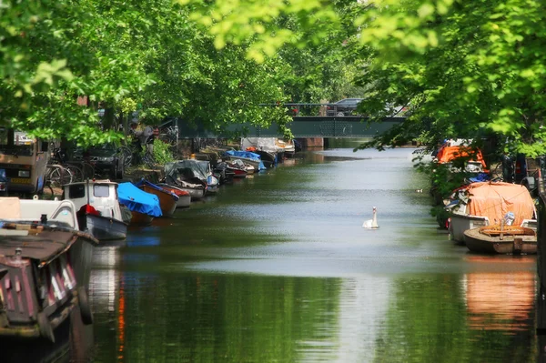 Staden kanalen och båtar i amsterdam. — Stockfoto