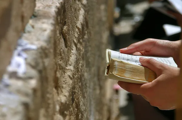 Prayer holds Torah during prayer at Western Wall. — Stock Photo, Image