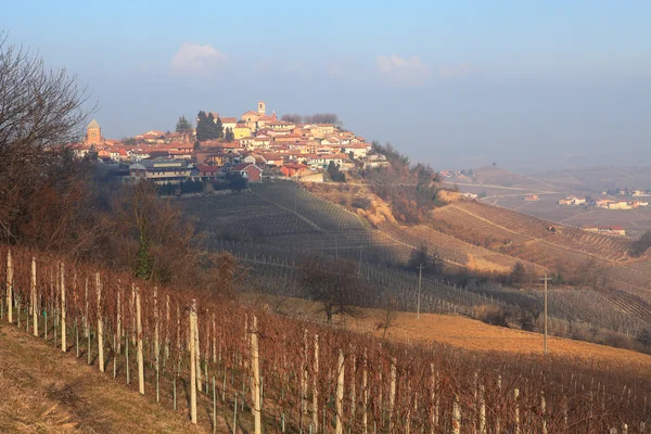Landelijk uitzicht op klein stadje en wijngaarden. — Stockfoto
