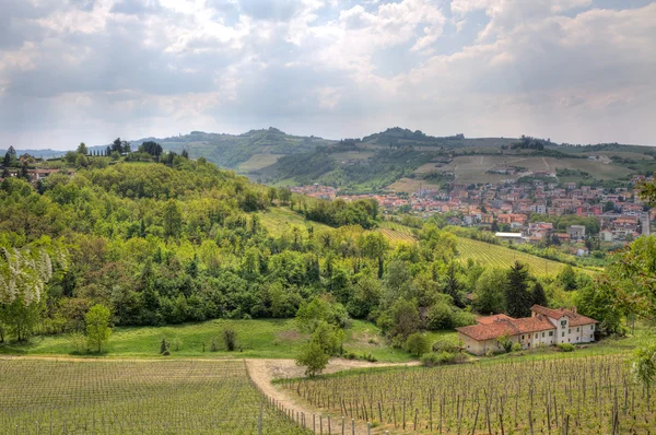Zobrazit v kopců a vinic Piemont. — Stock fotografie