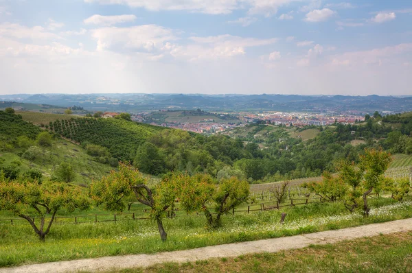 Vista sobre Alba entre la colina en Piamonte, Italia. ' — Foto de Stock