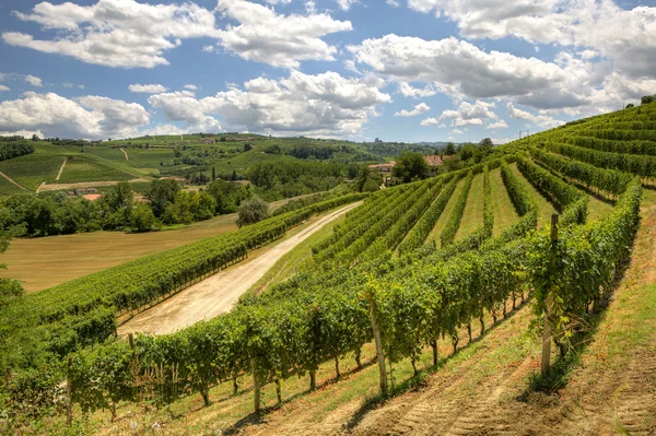 Пагорби і виноградників П'ємонт, Італія. — стокове фото